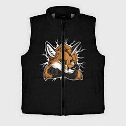 Мужской жилет Лис уверен