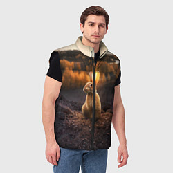 Мужской жилет Солнечный зайчик, цвет: 3D-черный — фото 2
