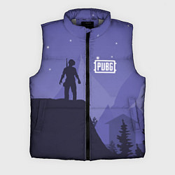 Мужской жилет PUBG: Sleep Night