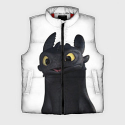 Мужской жилет Черная фурия