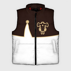 Мужской жилет Черный Клевер: Мантия, цвет: 3D-красный