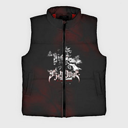 Мужской жилет Чёрный клевер, цвет: 3D-красный