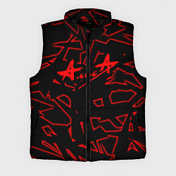 Мужской жилет Алиса