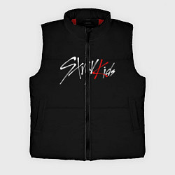 Мужской жилет STRAY KIDS, цвет: 3D-красный