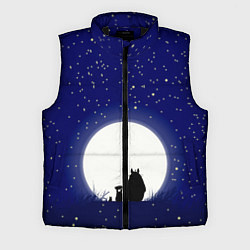 Мужской жилет Мой сосед Тоторо