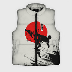 Мужской жилет Kyokushinkai Karate, цвет: 3D-черный