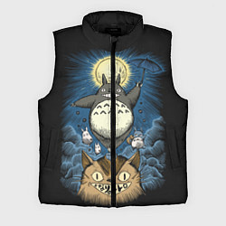 Мужской жилет My Neighbor Totoro, цвет: 3D-черный
