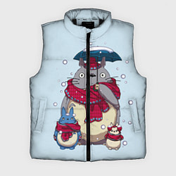 Мужской жилет Мой сосед Тоторо, цвет: 3D-черный