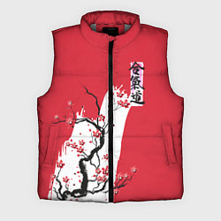 Мужской жилет Сакура Айкидо, цвет: 3D-светло-серый