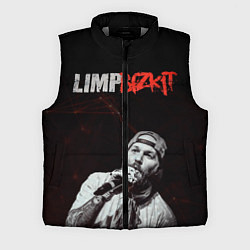 Мужской жилет Limp Bizkit, цвет: 3D-светло-серый