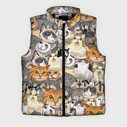 Мужской жилет ALL CATS MEMES, цвет: 3D-черный