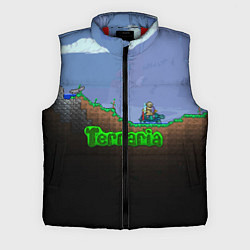 Мужской жилет Terraria game