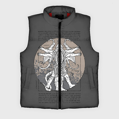 Мужской жилет Cthulhu / 3D-Красный – фото 1