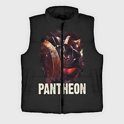 Мужской жилет Pantheon, цвет: 3D-черный