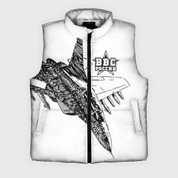 Мужской жилет ВВС России, цвет: 3D-светло-серый