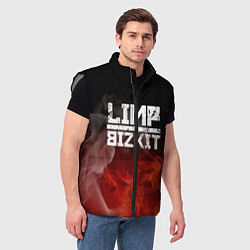 Мужской жилет LIMP BIZKIT, цвет: 3D-светло-серый — фото 2