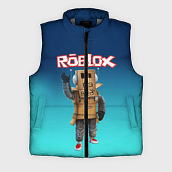 Мужской жилет ROBLOX, цвет: 3D-светло-серый