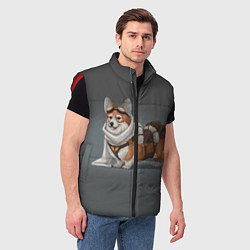 Мужской жилет КОРГИ ПИЛОТ, цвет: 3D-красный — фото 2