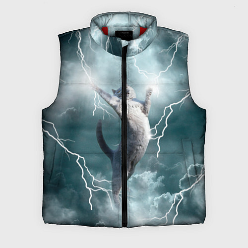 Мужской жилет Грозовой кошак / 3D-Красный – фото 1