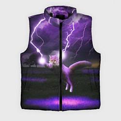 Мужской жилет Кот и Молнии, цвет: 3D-черный