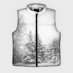 Мужской жилет Winter Storm, цвет: 3D-светло-серый