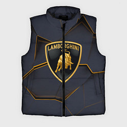 Мужской жилет Lamborghini, цвет: 3D-черный