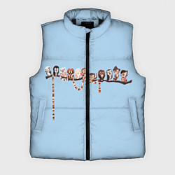 Мужской жилет Совы на ветке, цвет: 3D-черный