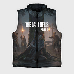 Мужской жилет The Last of Us part 2, цвет: 3D-черный