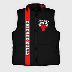 Мужской жилет CHICAGO BULLS, цвет: 3D-черный