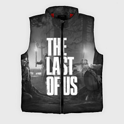Мужской жилет THE LAST OF US 2, цвет: 3D-красный