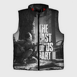 Мужской жилет THE LAST OF US 2, цвет: 3D-красный