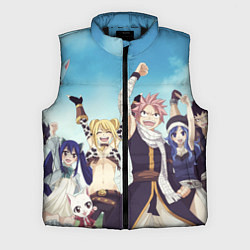 Мужской жилет FAIRY TAIL ХВОСТ ФЕИ, цвет: 3D-черный