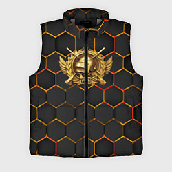 Мужской жилет Pubg Gold Logo, цвет: 3D-светло-серый