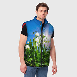 Мужской жилет Подснежники, цвет: 3D-красный — фото 2