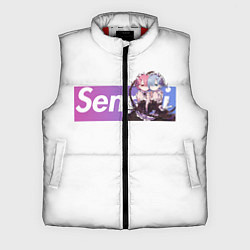 Мужской жилет Re:Zero