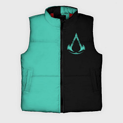 Мужской жилет Assassins Creed Valhalla