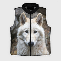 Мужской жилет Волк, цвет: 3D-светло-серый