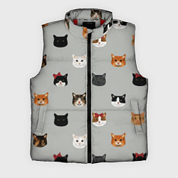 Мужской жилет Кошечки, цвет: 3D-красный