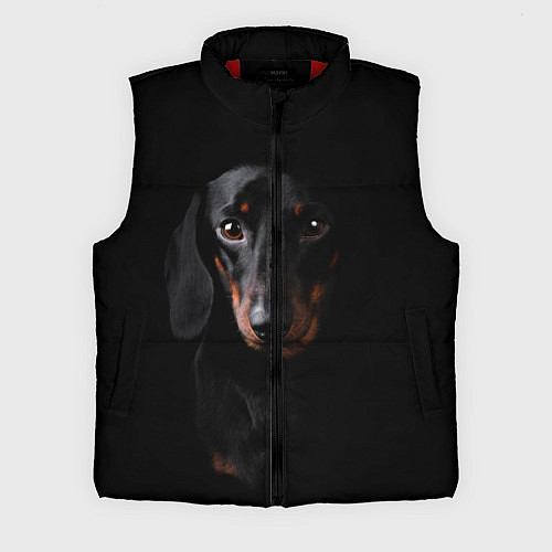 Мужской жилет ТАКСА / 3D-Красный – фото 1