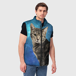 Мужской жилет Кот Космос, цвет: 3D-черный — фото 2