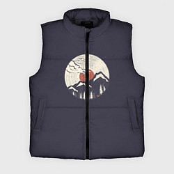 Мужской жилет Mountain Vinyl Record, цвет: 3D-черный