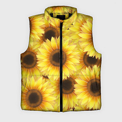 Мужской жилет Подсолнухи в поле