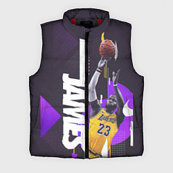 Мужской жилет Леброн, цвет: 3D-красный