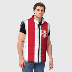 Мужской жилет Сборная Перу, цвет: 3D-светло-серый — фото 2