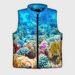 Мужской жилет Риф