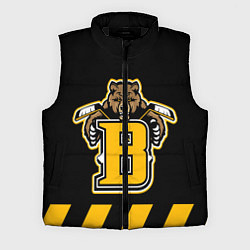 Мужской жилет BOSTON BRUINS, цвет: 3D-черный