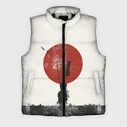 Мужской жилет Самурай на коне, цвет: 3D-черный