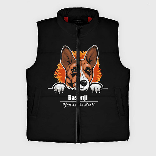Мужской жилет Басенджи Basenji / 3D-Красный – фото 1