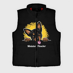 Мужской жилет Пинчер Miniature Pinscher, цвет: 3D-красный