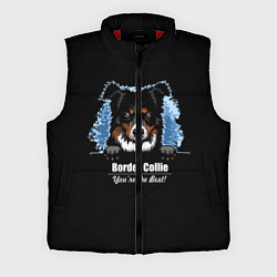 Мужской жилет Бордер-Колли Border-Collie, цвет: 3D-красный